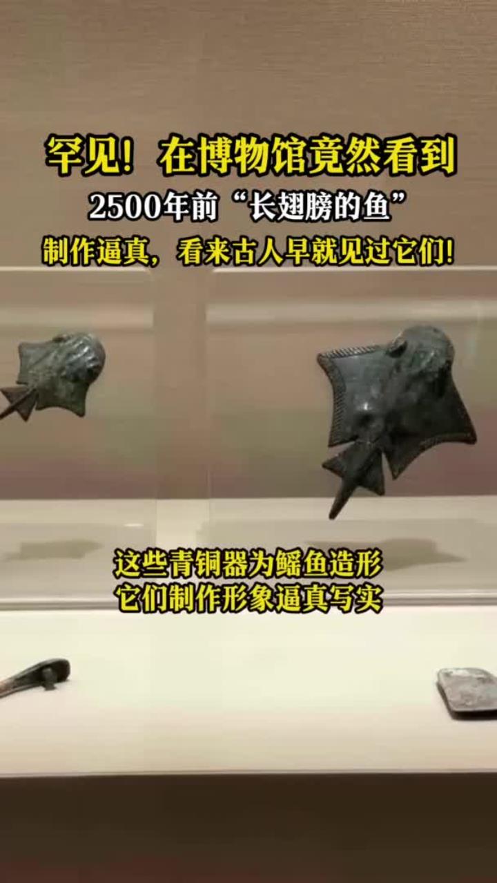 罕见!在博物馆看到2500年前“长着翅膀的鱼”,制作逼真