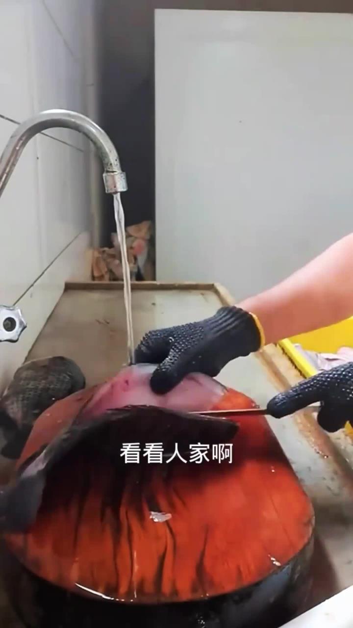 刺身鱼分割处理全过程