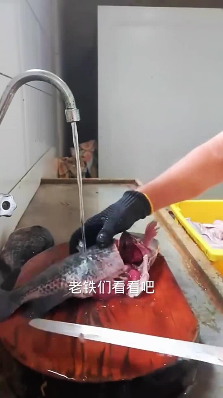 刺身鱼分割处理全过程