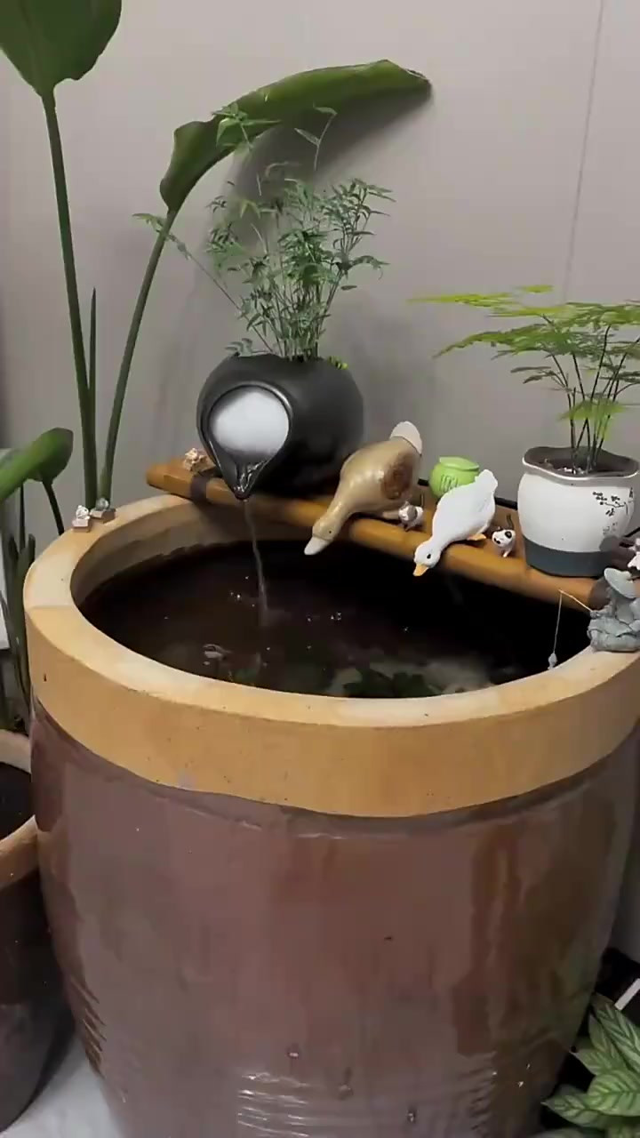 把古法鱼缸搬到室内,这颜值和氛围感,绝了