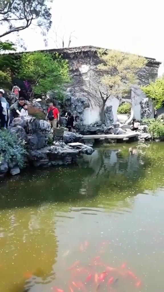 秋季出游，乳鱼亭内乳小鱼