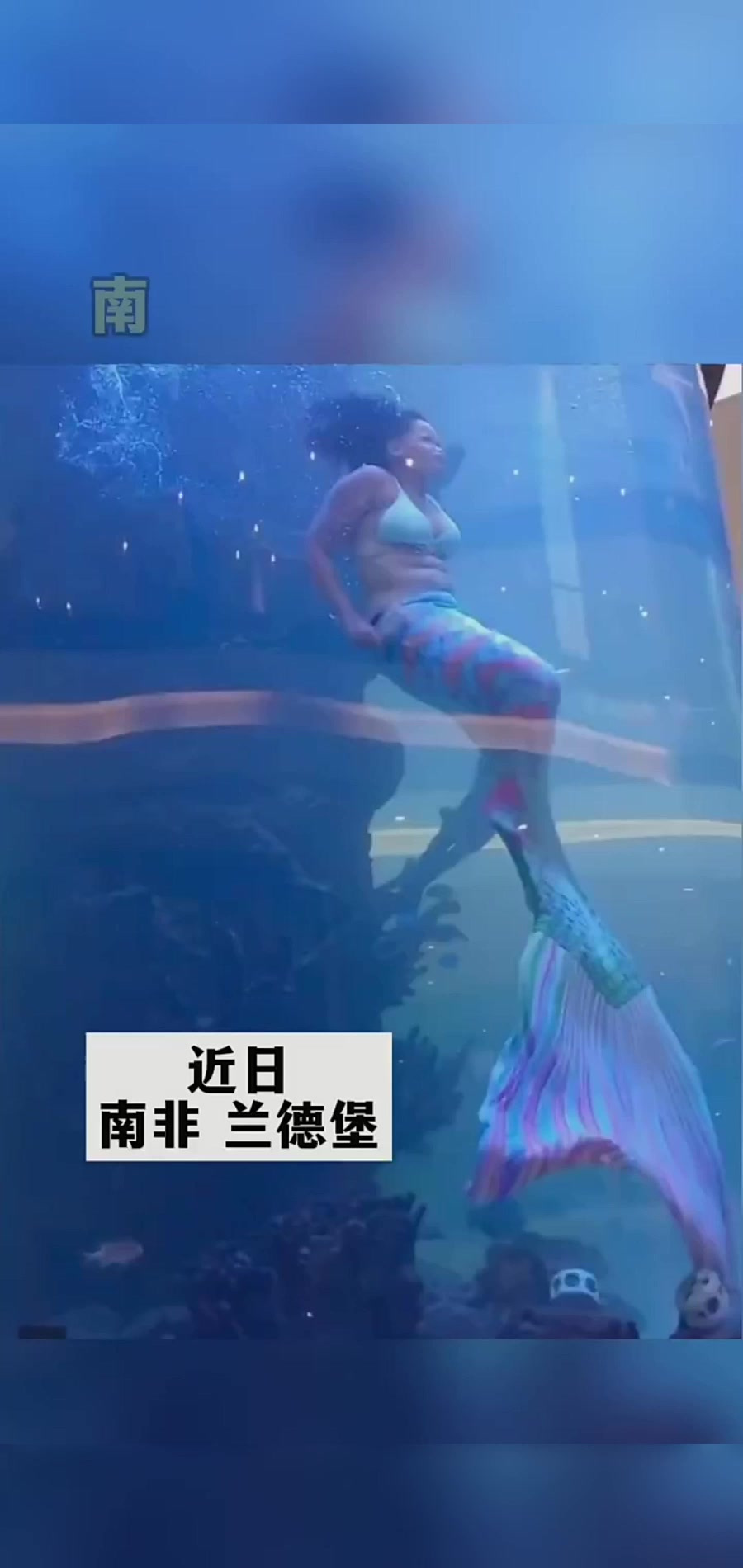 近日,南非兰德堡,“美人鱼”表演时服饰被石头卡住,果断脱掉演