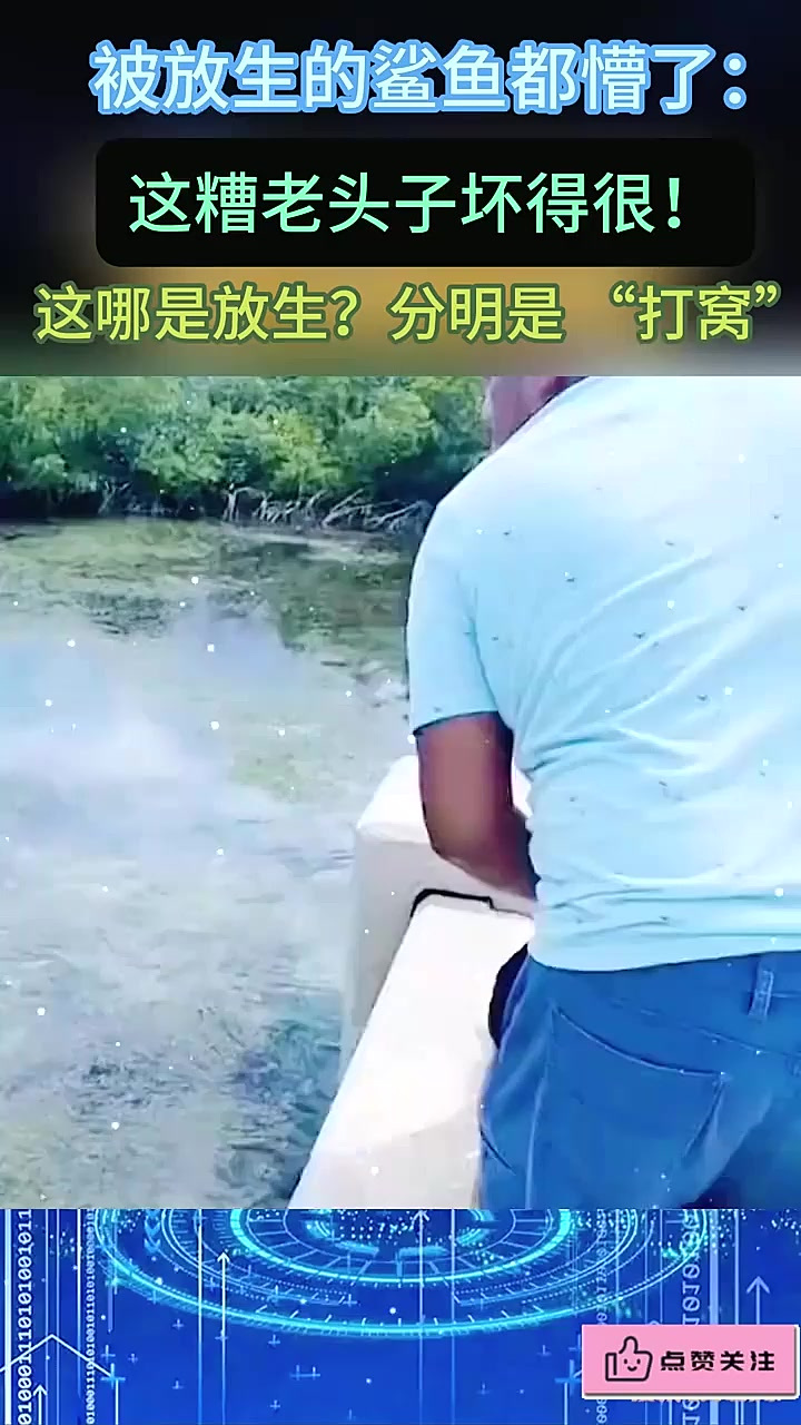 这不叫放生,这应该叫打窝吧!鲨鱼:糟老头子坏得很!
