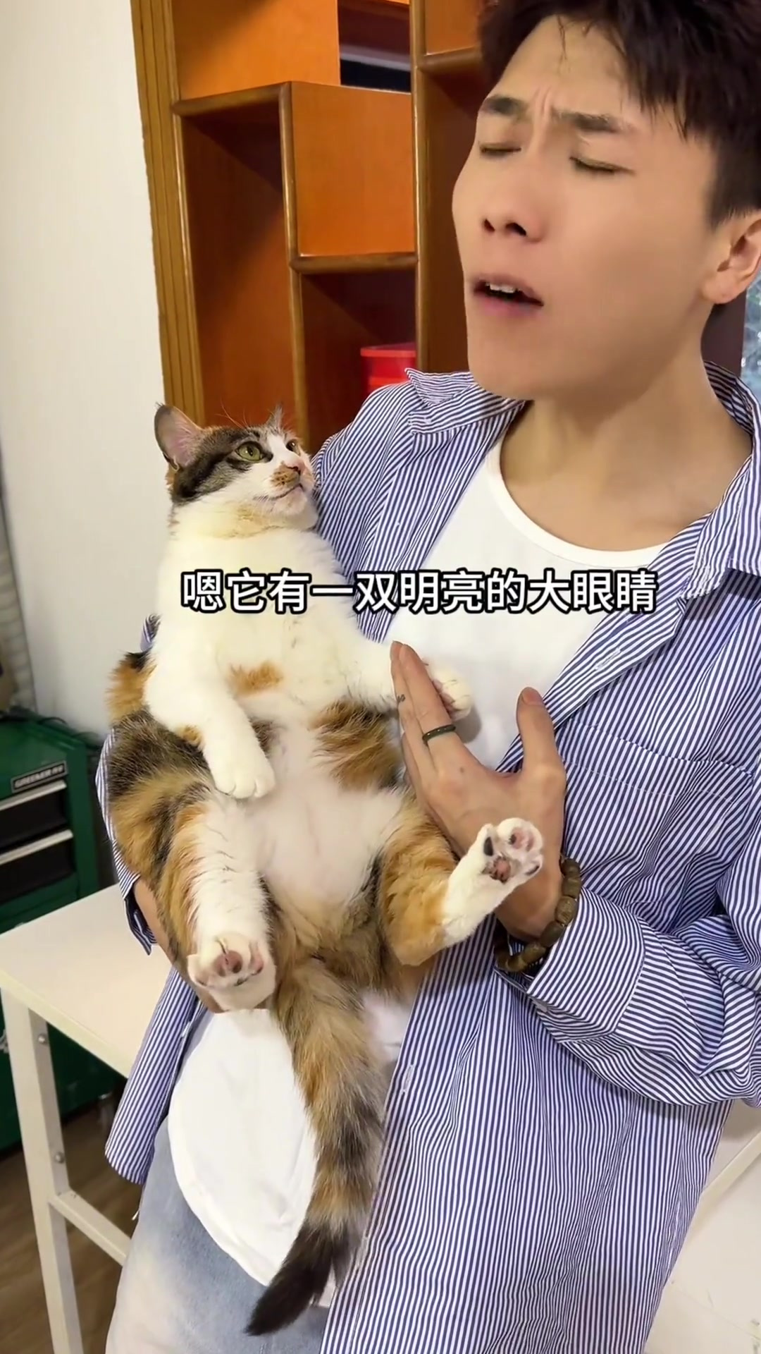 我中小猫的样子