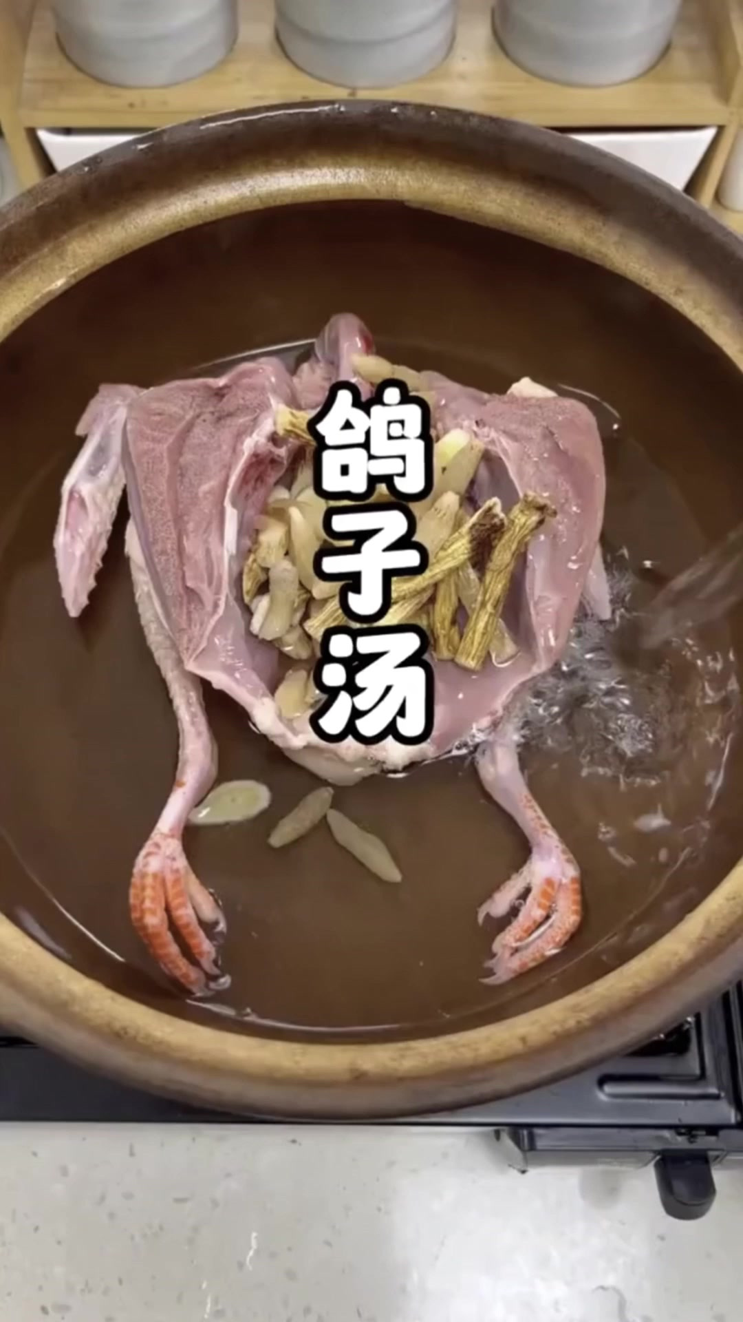 鸽子肉和麦冬是好搭档,一起炖汤喝,身体舒服,少生病,稳生活