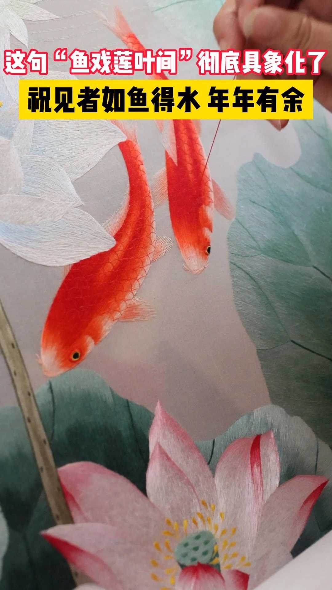 九鱼聚财，好运加倍！看到这条视频的人，今年顺风顺水顺财神
