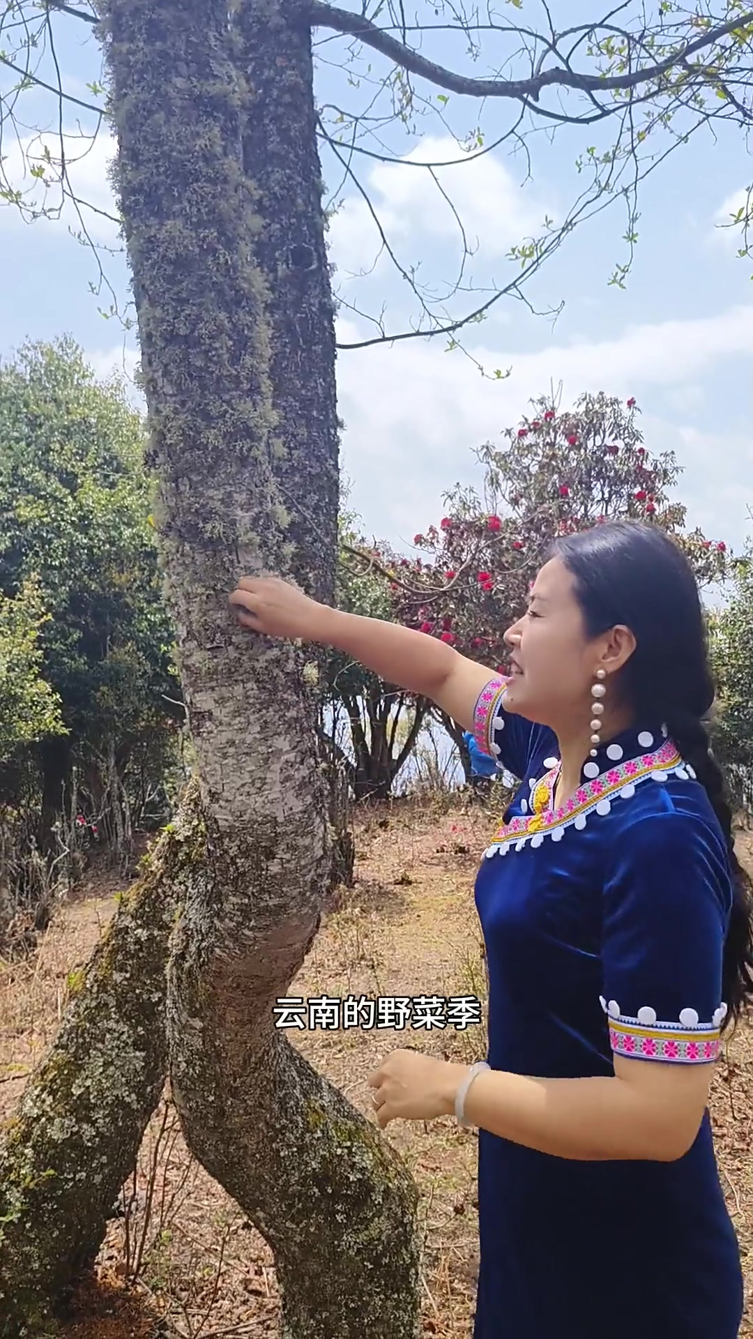 山上找回来的树花菜,加工一下就变成美味可口的凉拌