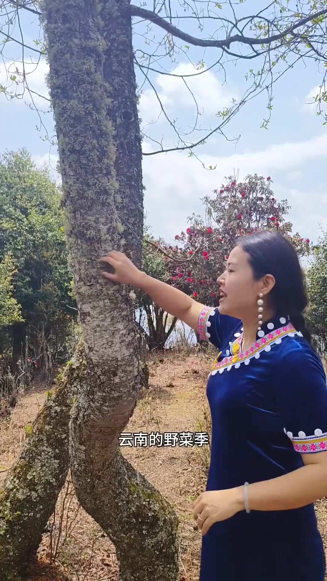 山上找回来的树花菜,加工一下就变成美味可口的凉拌