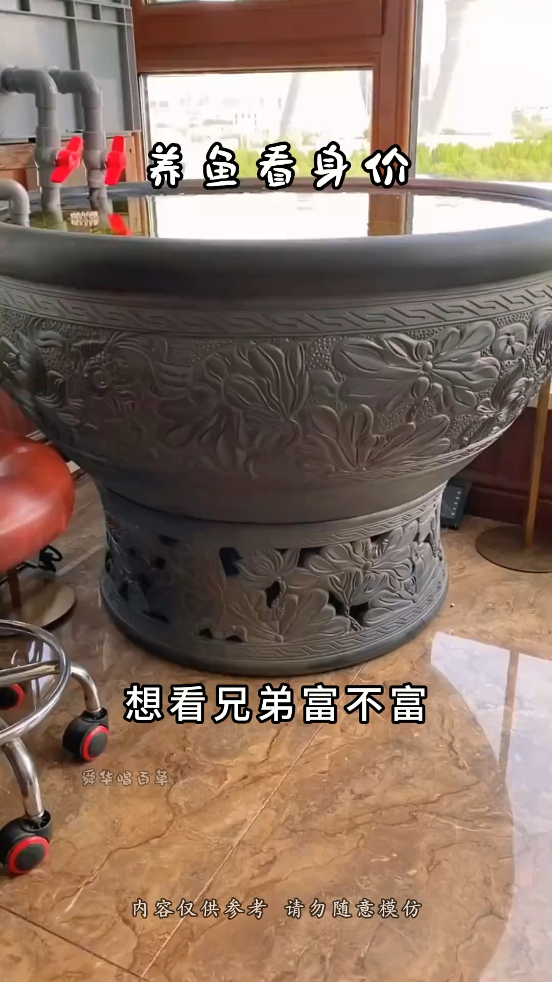 想知兄弟富不富,看看鱼缸的宠物。