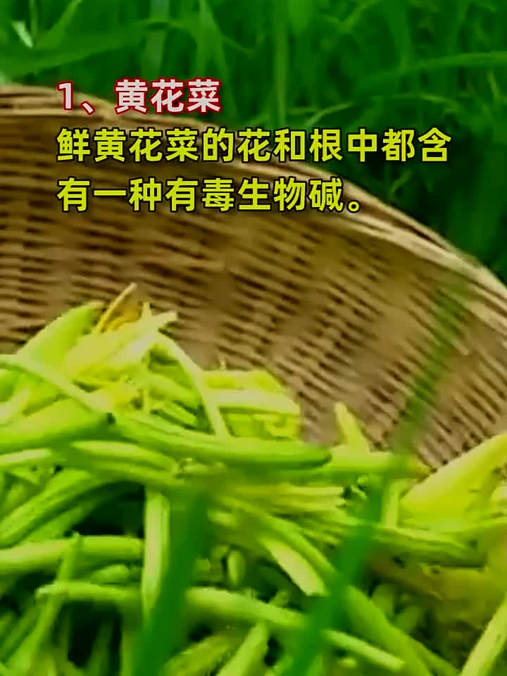 “这3种食物,越新鲜越有毒”,是真的吗?