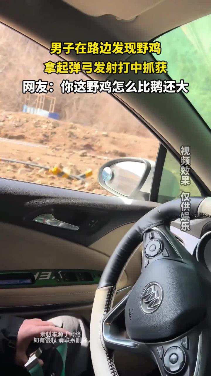 男子在路边发现野鸡，拿起弹弓发射打中抓获