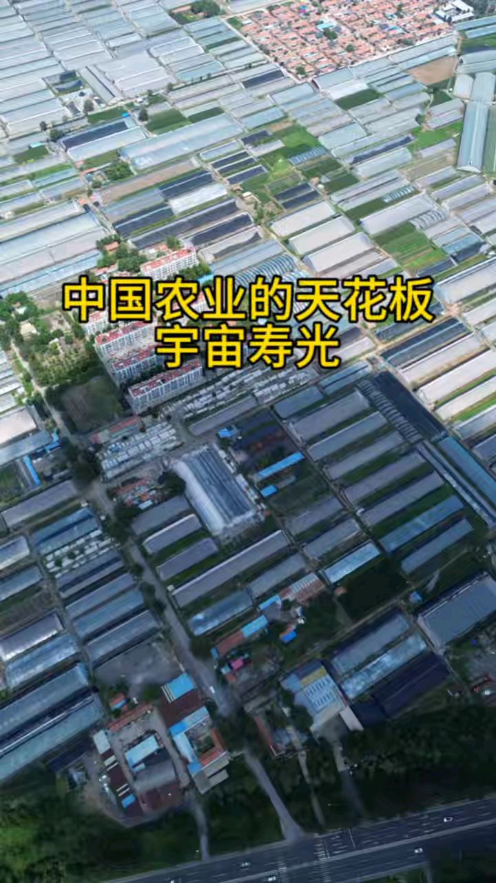中国农业的天花板 宇宙寿光