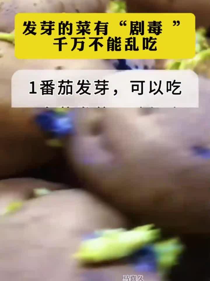 食养日志：发芽的菜有剧毒 千万不能乱吃