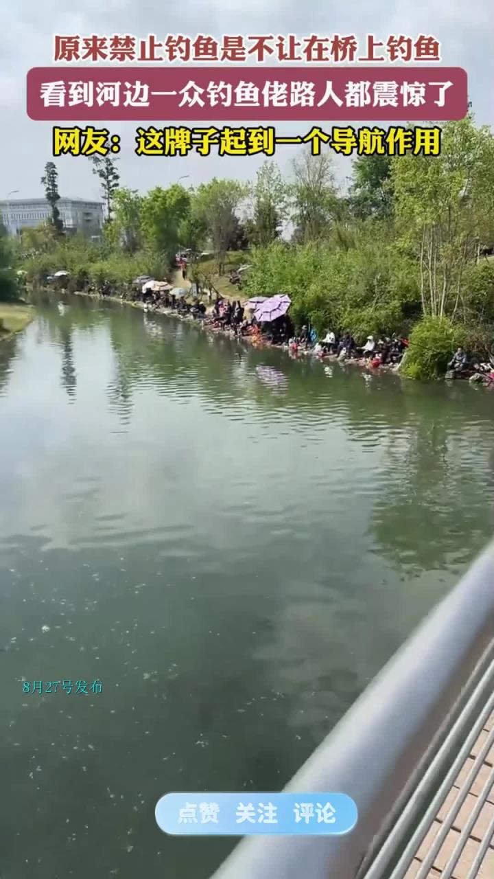 原来禁止钓鱼是不让在桥上钓鱼,看到河边一众钓鱼佬路人都震惊