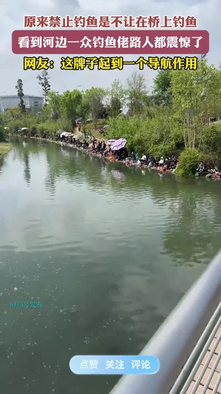 原来禁止钓鱼是不让在桥上钓鱼,看到河边一众钓鱼佬路人都震惊