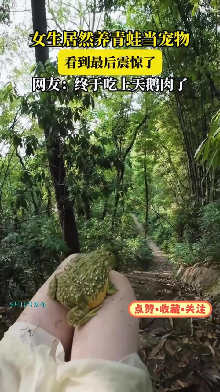 女生居然养青蛙当宠物,看到最后震惊了,网友:终于吃上天鹅肉了