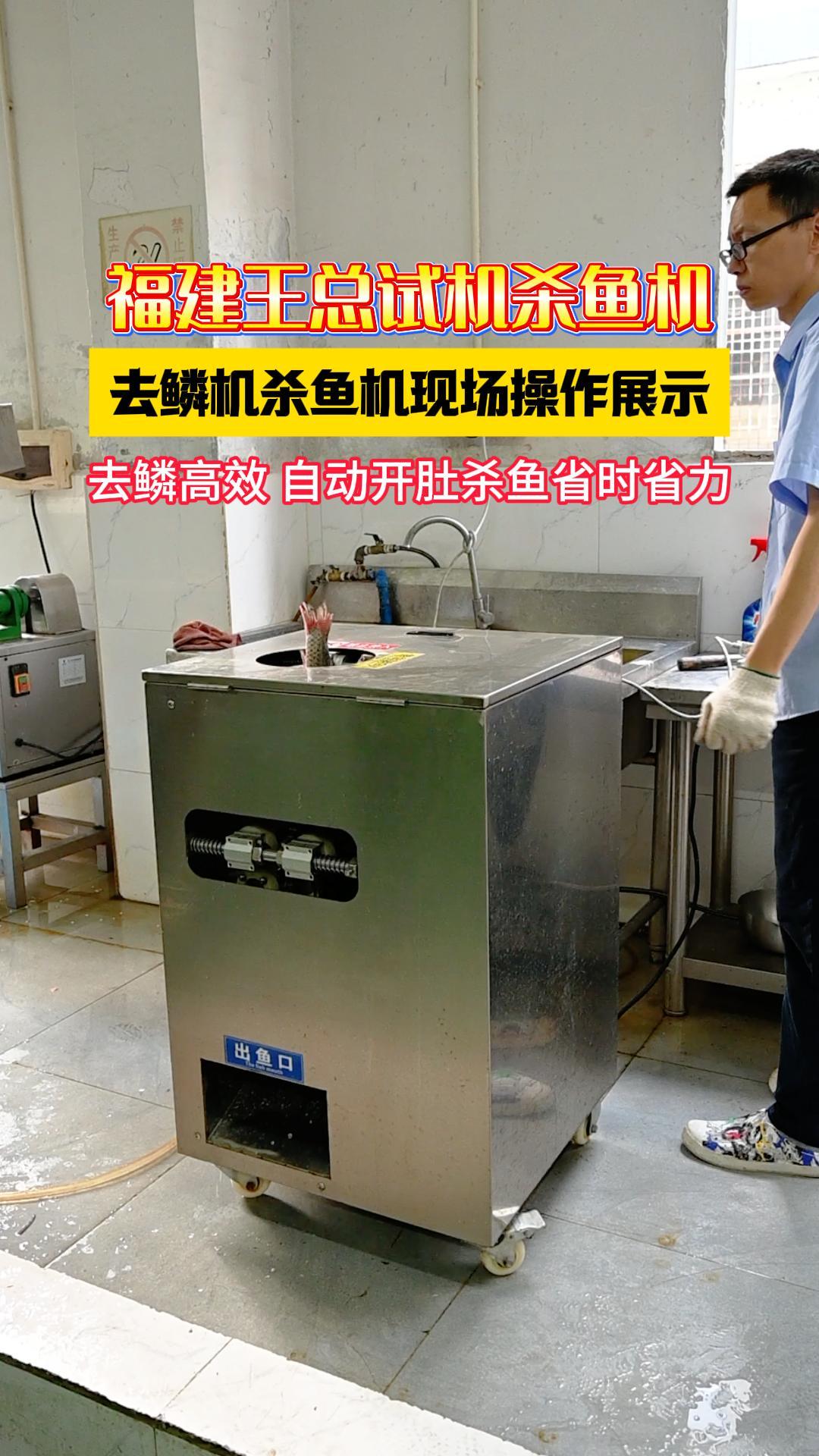 福建王总试机杀鱼设备，去鳞机配套杀鱼机一气呵成