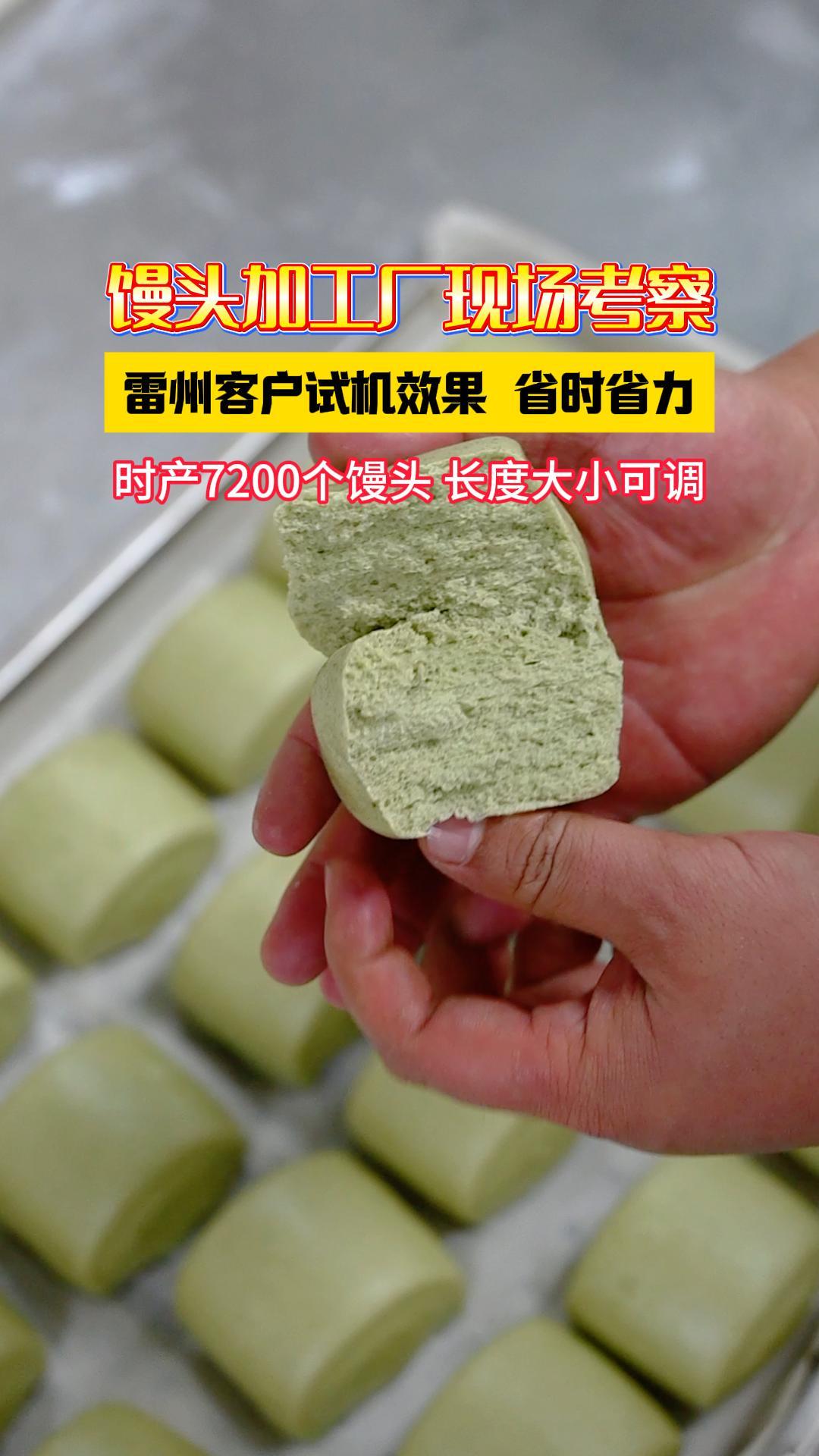 雷州馒头加工厂现场考察,一小时加工7200个方馒头,省时省力