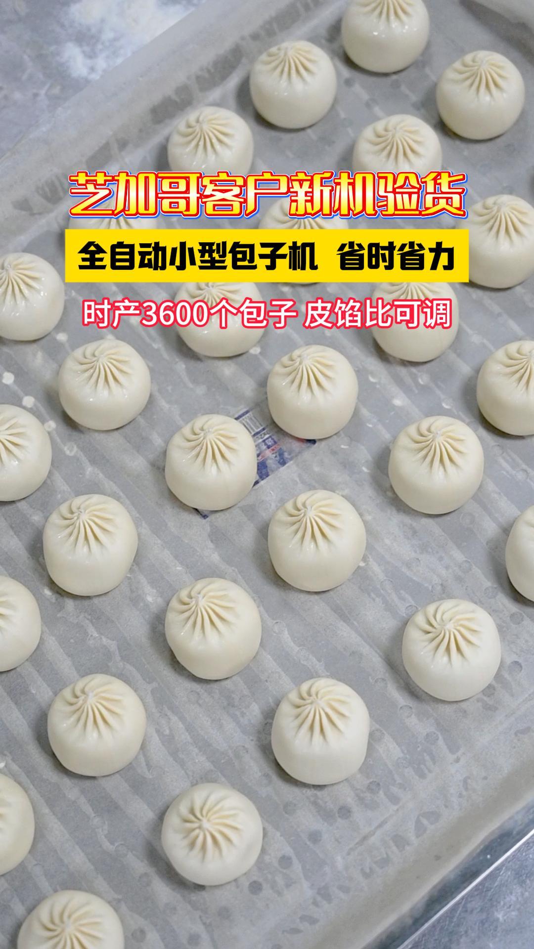 芝加哥客户试机验货,全自动小型包子机,省时省力,生产效果好
