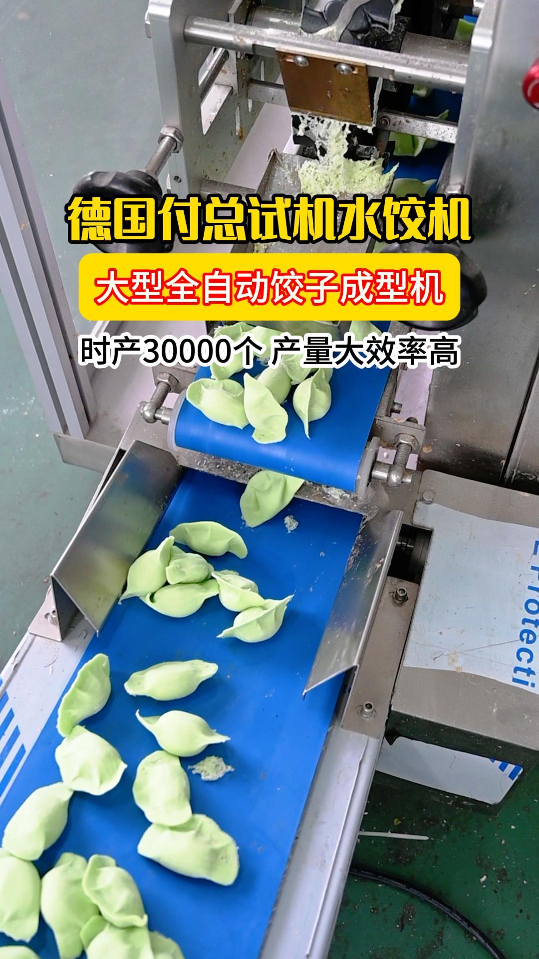 德国付总试机大型水饺机,高效加工量产,时产30000枚饺子