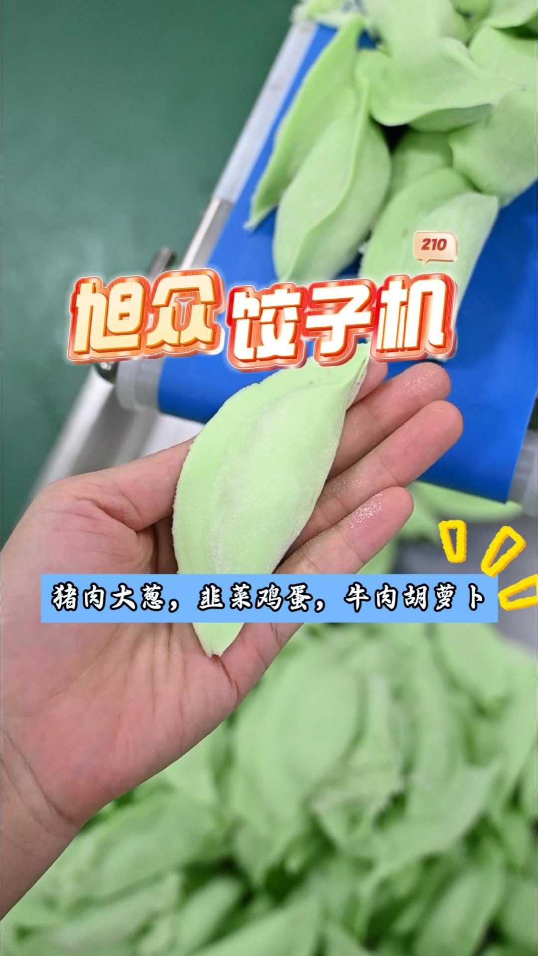 猪肉大葱,韭菜鸡蛋,牛肉胡萝卜