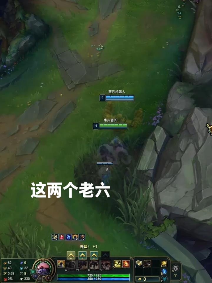 这就是鸡牛组合