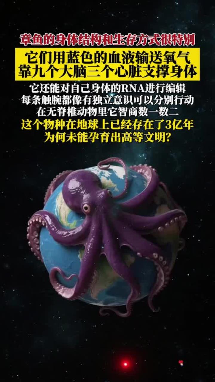 章鱼的身体结构和生存方式很特别,为何未能孕育出高等文明?