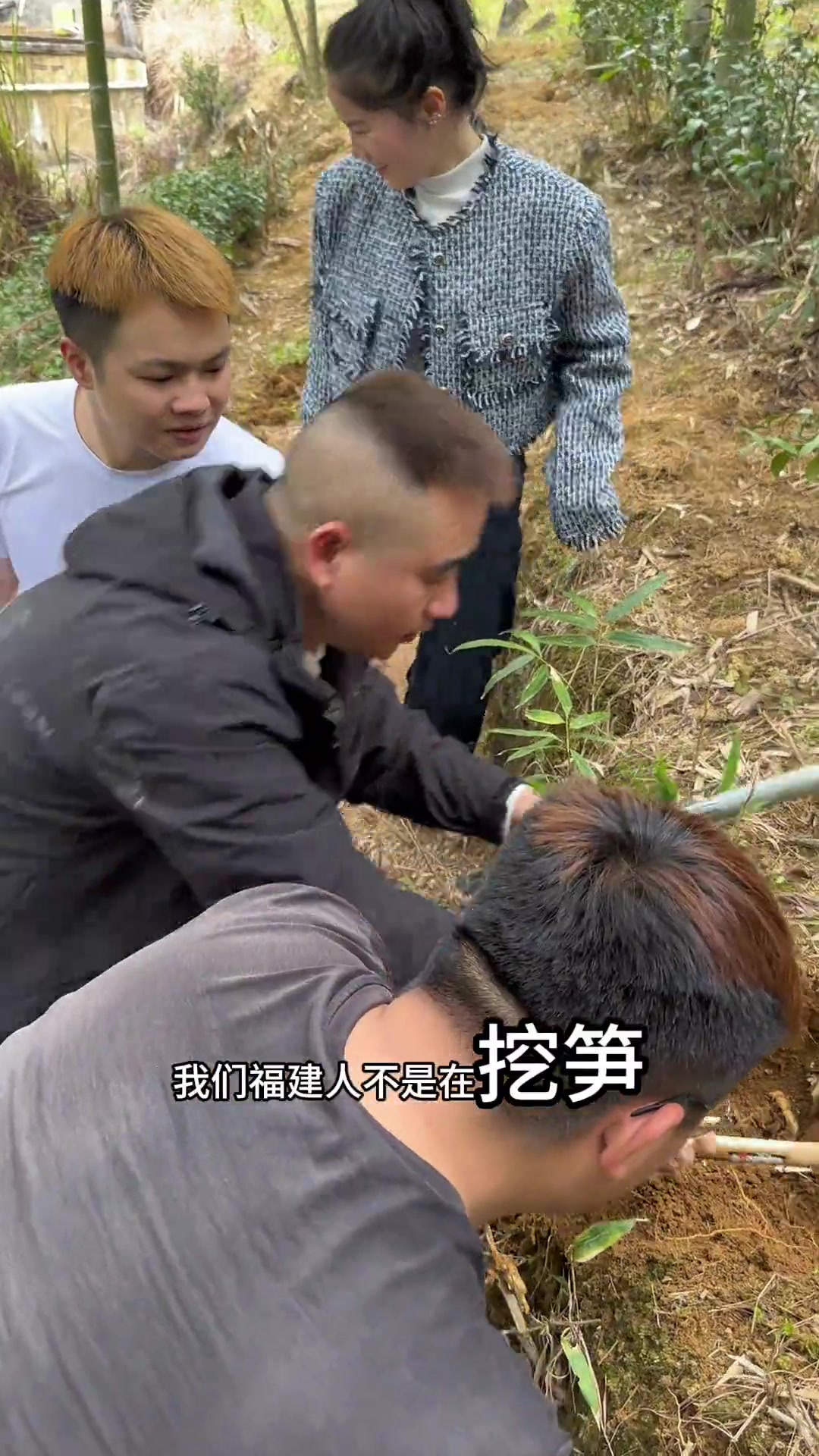 这个季节，福建人不是在挖笋就是在挖笋的路上