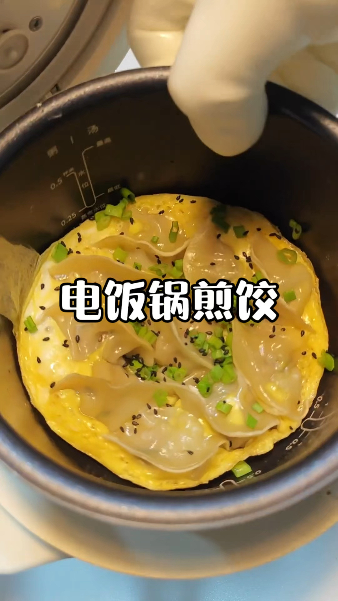 会煮饭就会做的电饭煲煎饺 外酥里嫩还能爆汁,一口一个嘎嘣脆?