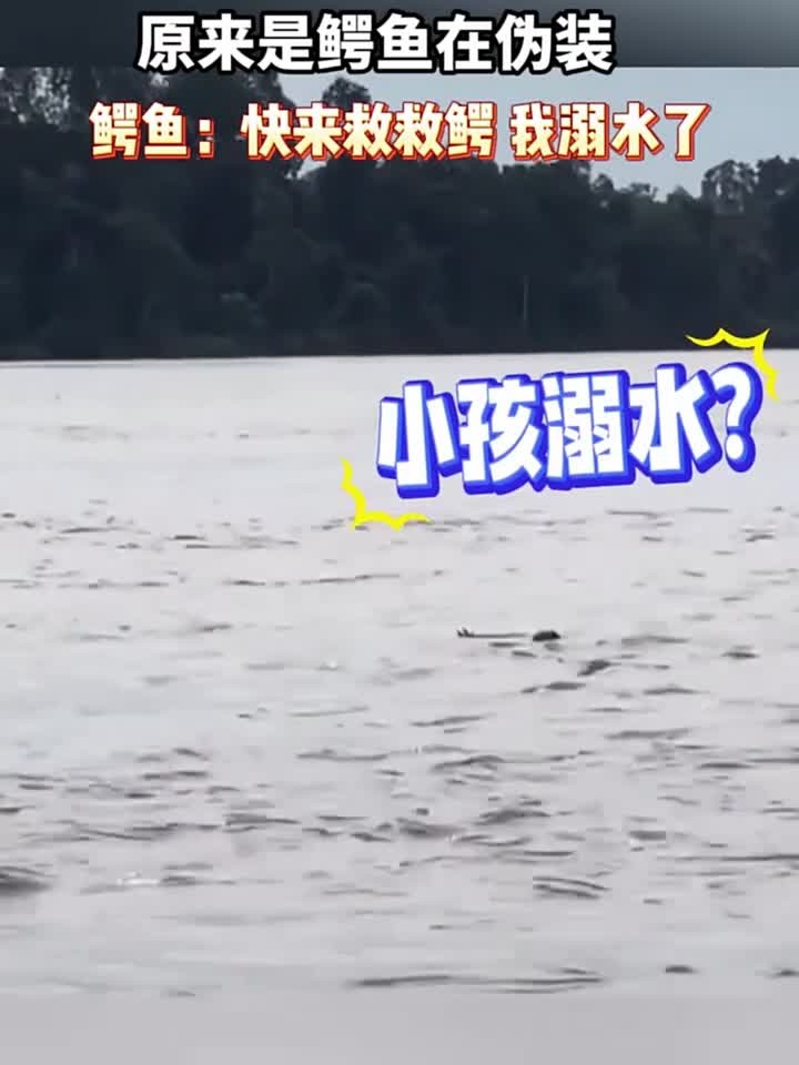 第一眼还以为是有人溺水了,原来是鳄鱼在伪装啊