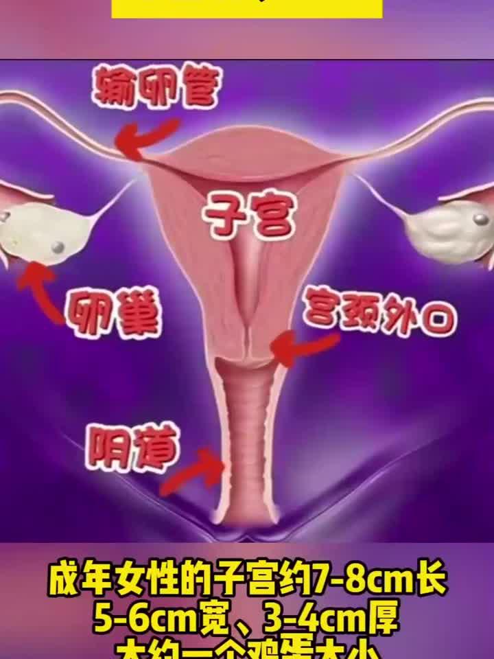 息肉是子宫异常出血的“幕后黑手”?