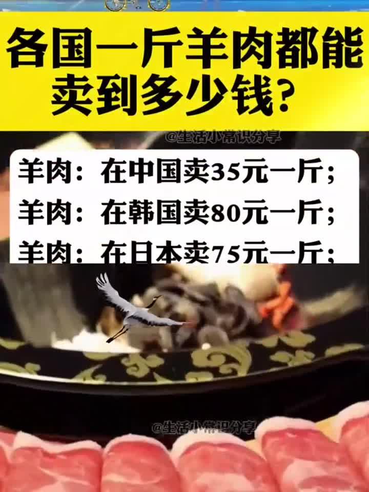 各国一斤羊肉多少钱