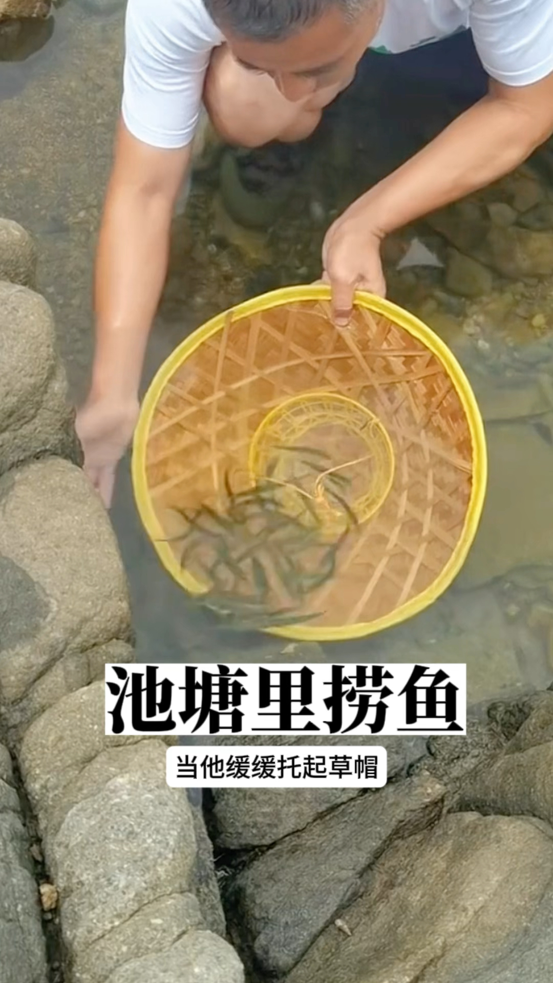 池塘里捞鱼,工具居然是草帽!