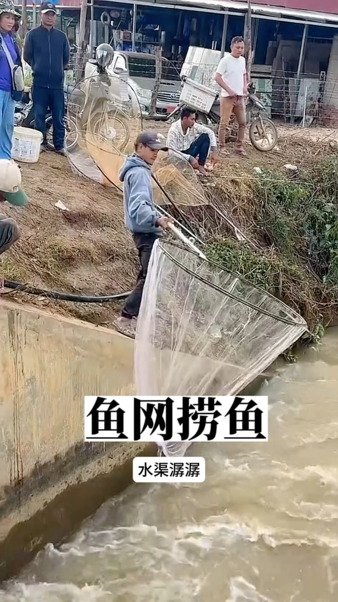 鱼网捞鱼,手到擒来!