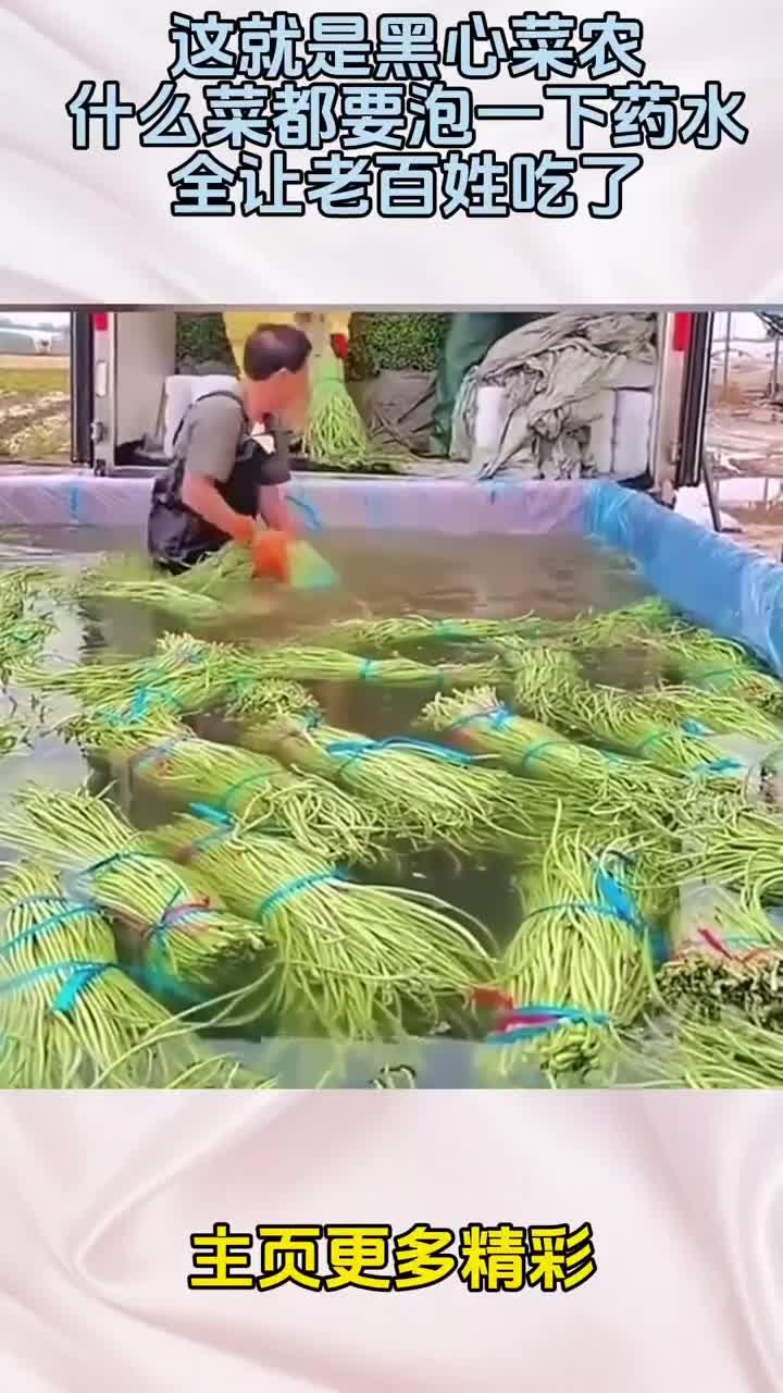 这就是黑心菜农，什么菜都要泡一下药水，全让老百姓吃了！