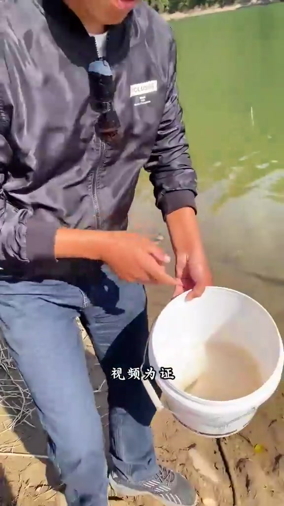 我投放了鱼苗,这水库里的鱼就是我的了