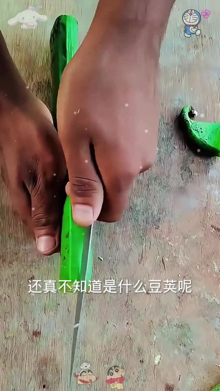  没有见过这么大的豆荚呢