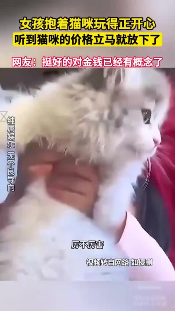 女孩抱着猫咪玩得正开心,听到猫咪的价格立马就放下了