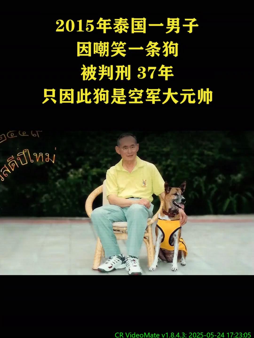 泰国一男子因嘲笑一条狗,被判刑 37年!这只王室宠物狗名叫“通丹”,这只混种狗是现年88岁