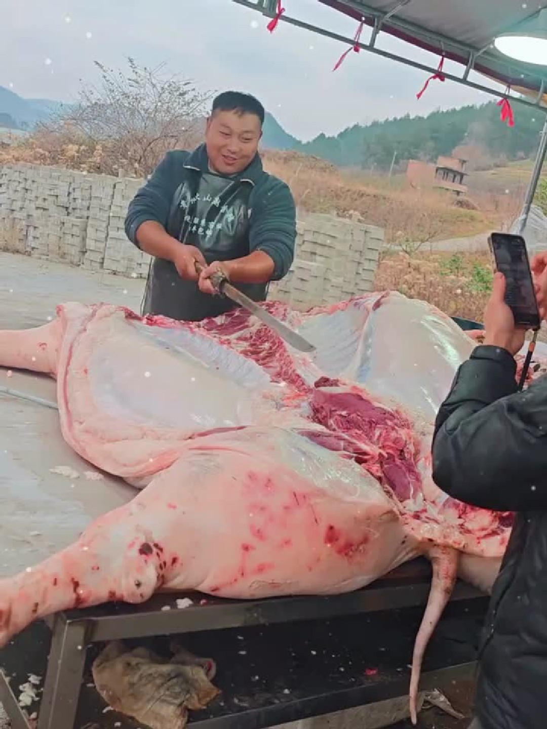 超肥的土猪肉