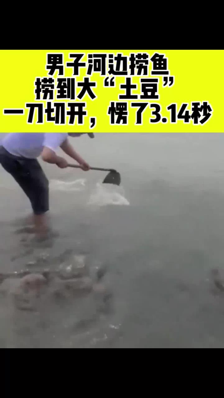男子海边捞鱼,捞到土豆块,一刀切开竟是翡翠