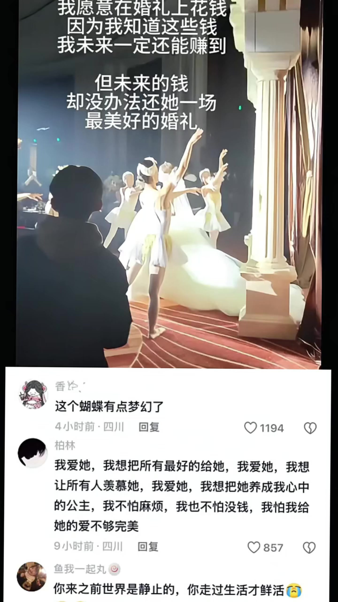 这个蝴蝶有点梦幻了