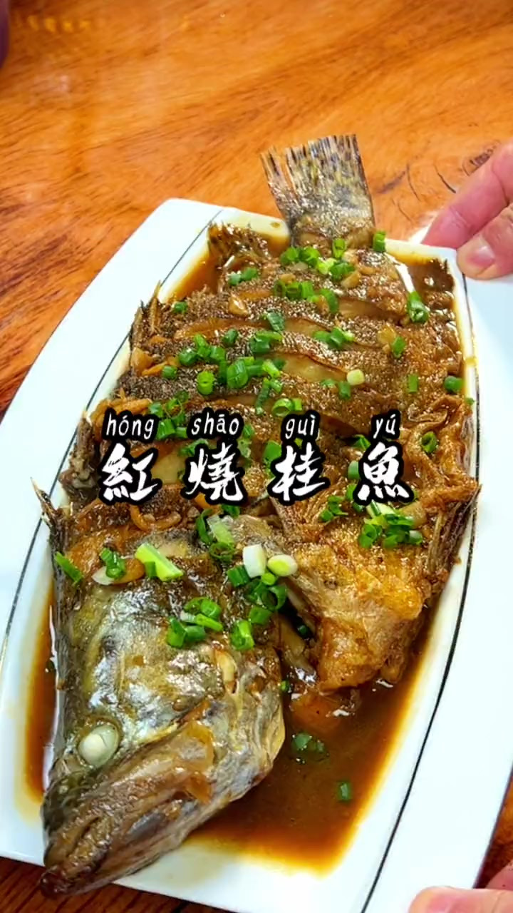 年夜饭餐桌上不可缺少的一道硬菜红烧桂鱼，咸鲜味美非常的好吃