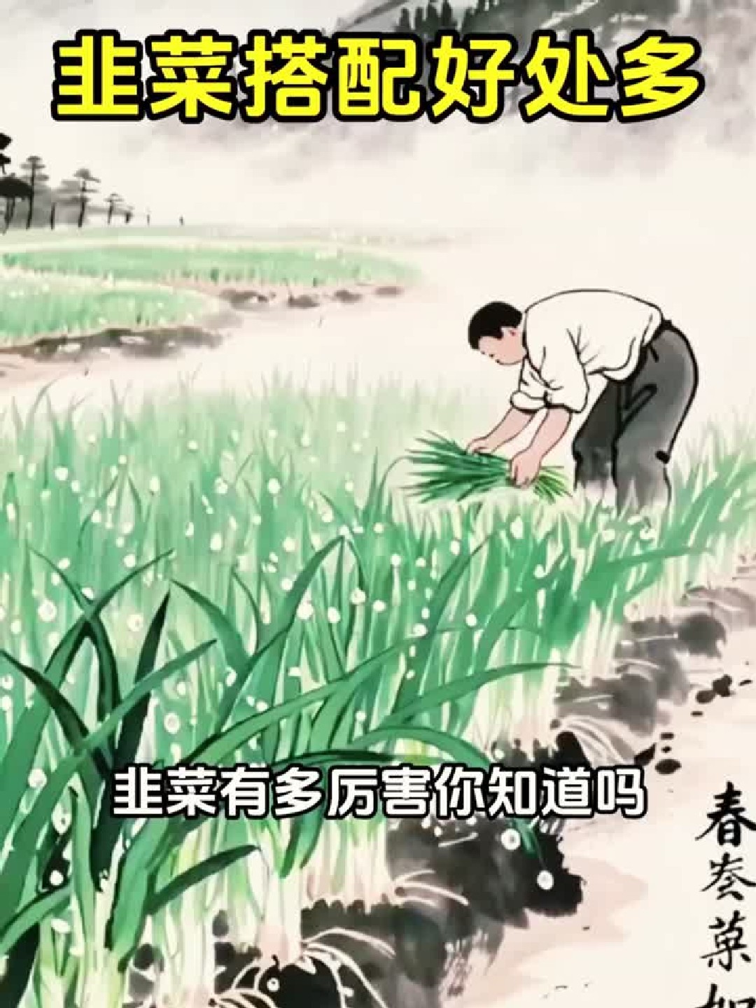 韭菜竟然有这么多神奇功效