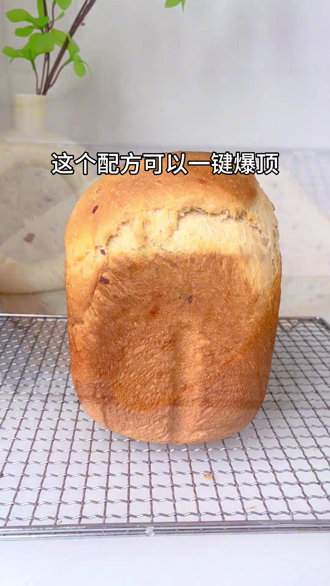 面包机0失败吐司奶油蔓越莓吐司教程～