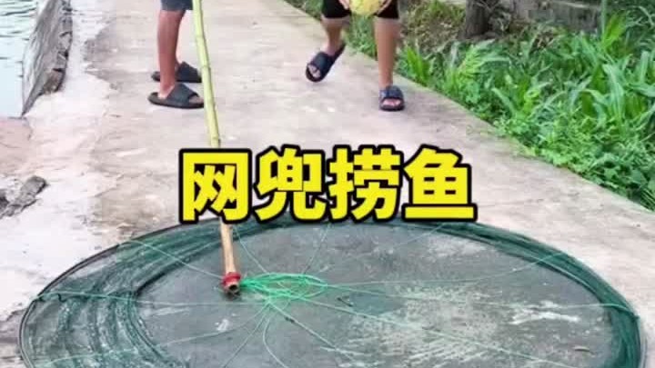 自制网兜放入西瓜捞鱼