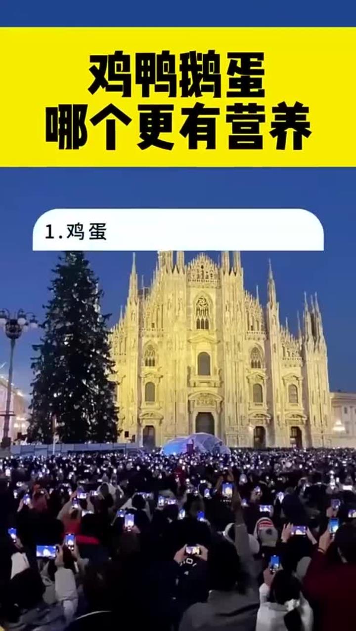 鸡鸭鹅蛋哪个更有营养