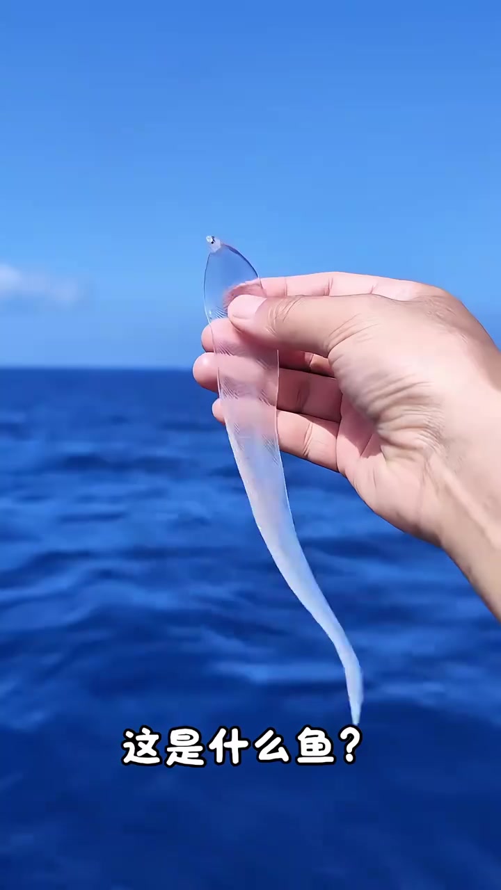 分享介绍15种海鱼，有的非常漂亮，有的非常丑！