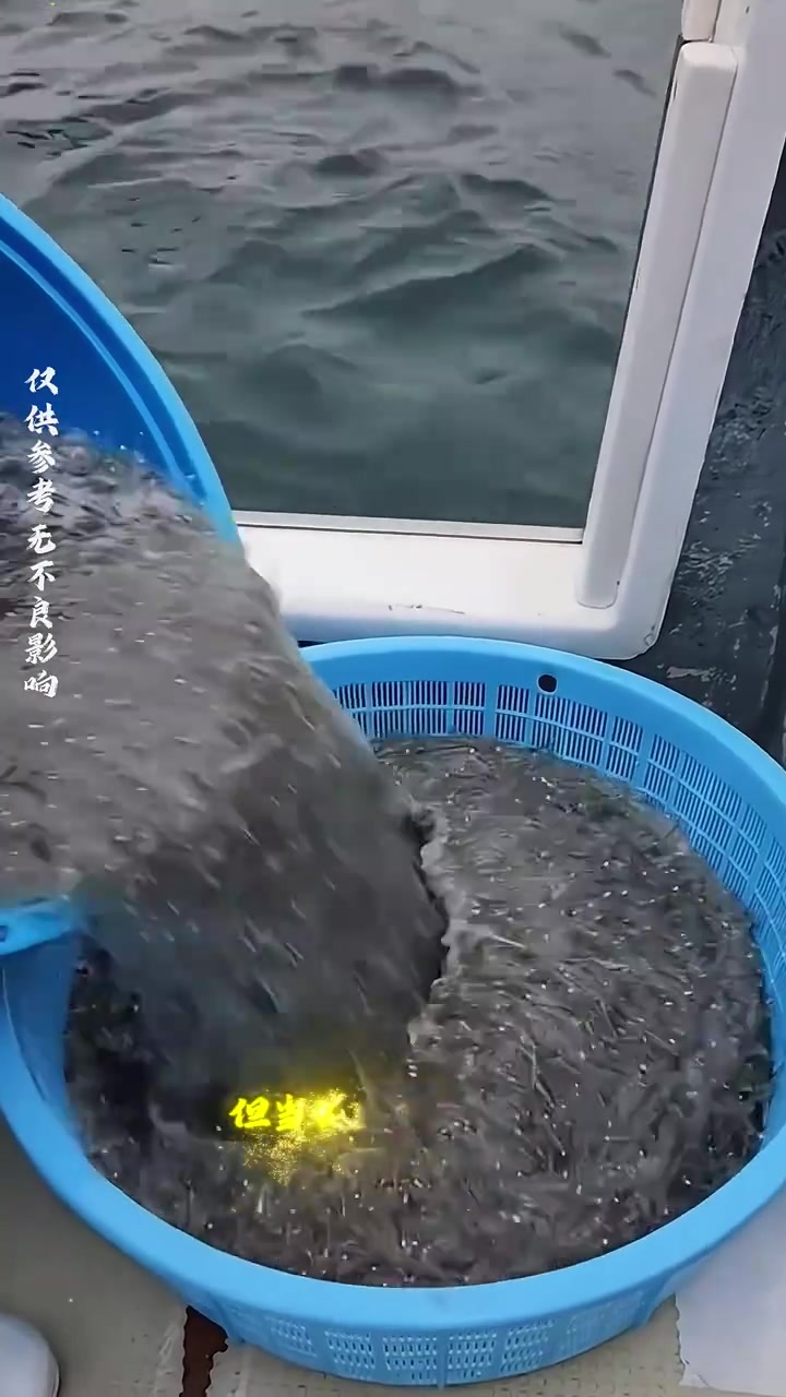 你知道这种浑身上下都是透明的鱼吗，简直太神奇了 奇闻趣事