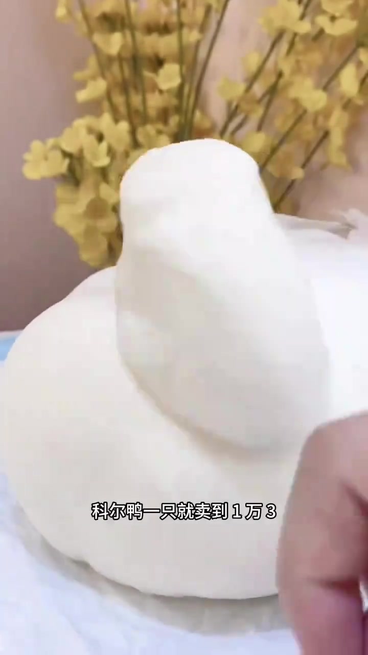 这是世界上最贵的鸭子!